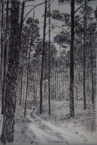 Road-in-the-Lost-Pines-60_-x40'#46E4