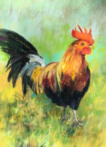 Rooster in the Park - Pastel on Archival Paper - by Enid Wood - 9x6